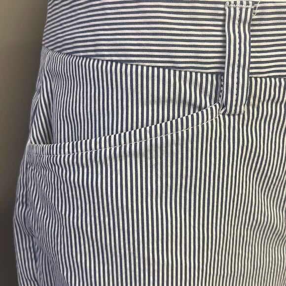 Land’s End Blue and White Vertical Striped Fit 2 Cropped Cotton Blend Pants- Siz - Picture 5 of 13